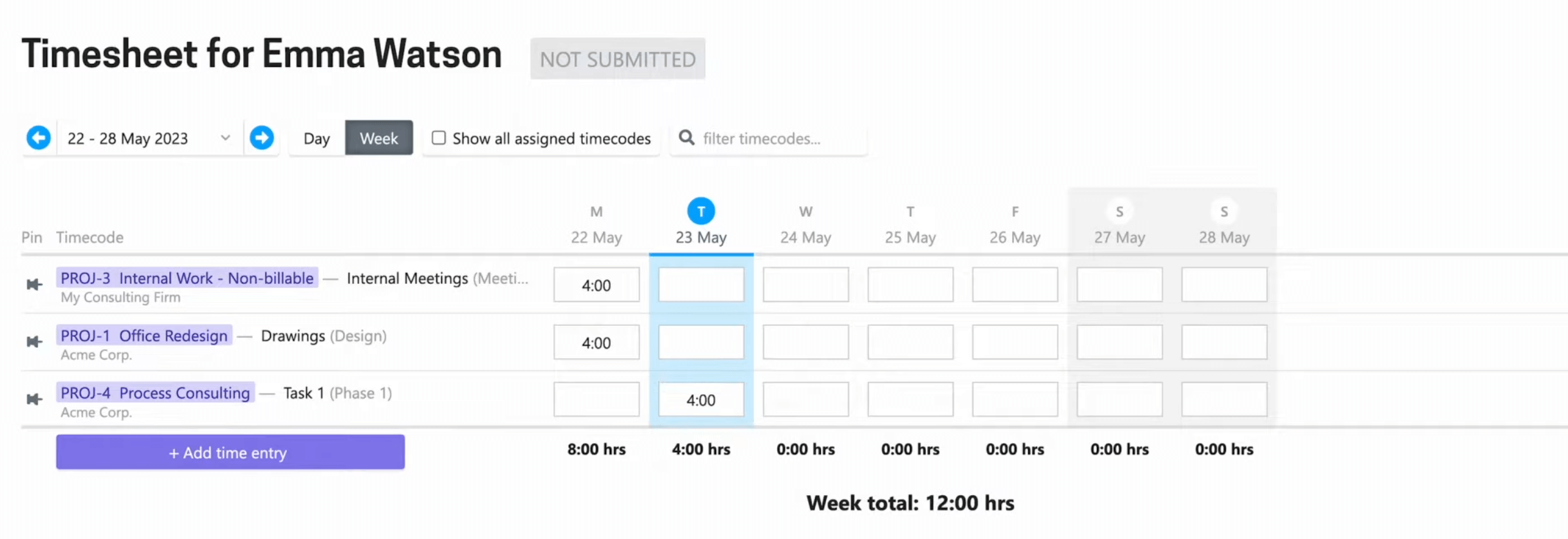 Total Synergy - timesheet view